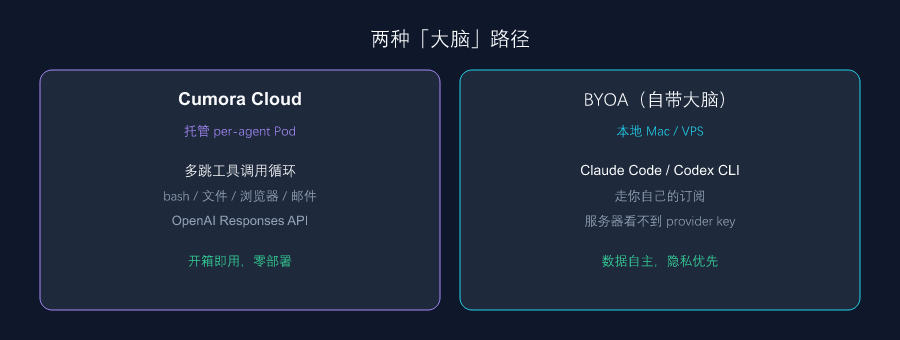 cumora 双脑路径对比