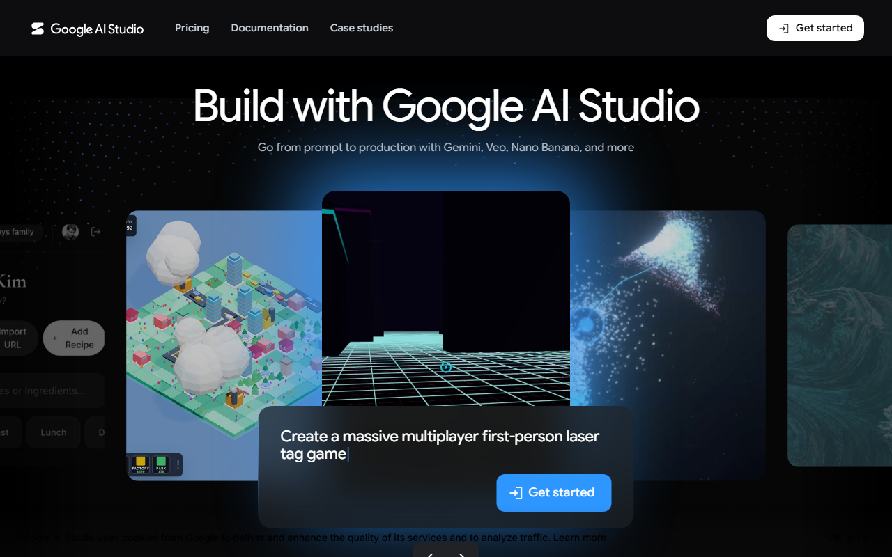 Google AI Studio 界面截图