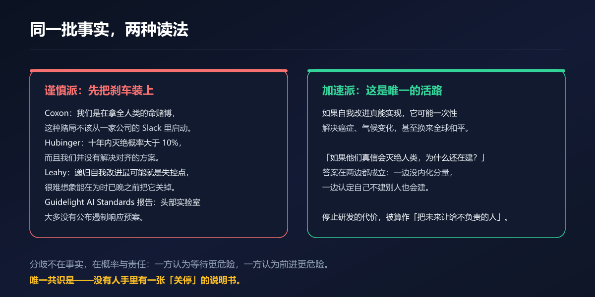谨慎派与加速派的分歧